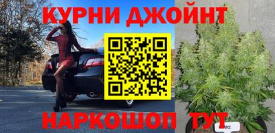 круглые Будённовск