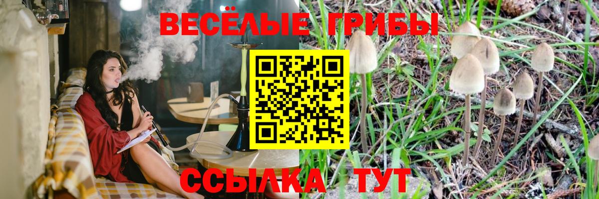 Псилоцибиновые грибы мицелий  Галлюциногенные грибы прущие грибы  Вход с VPN  Истра 